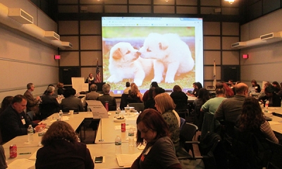 Courtney Young, Past President of ALA, presented Better Together: The Critical Role of Networking and Professional Development in Librarianship